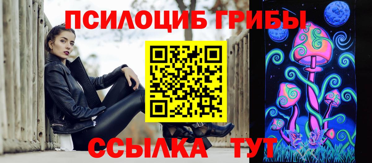 Балашов  Псилоцибиновые грибы прущие грибы  Вход с VPN 