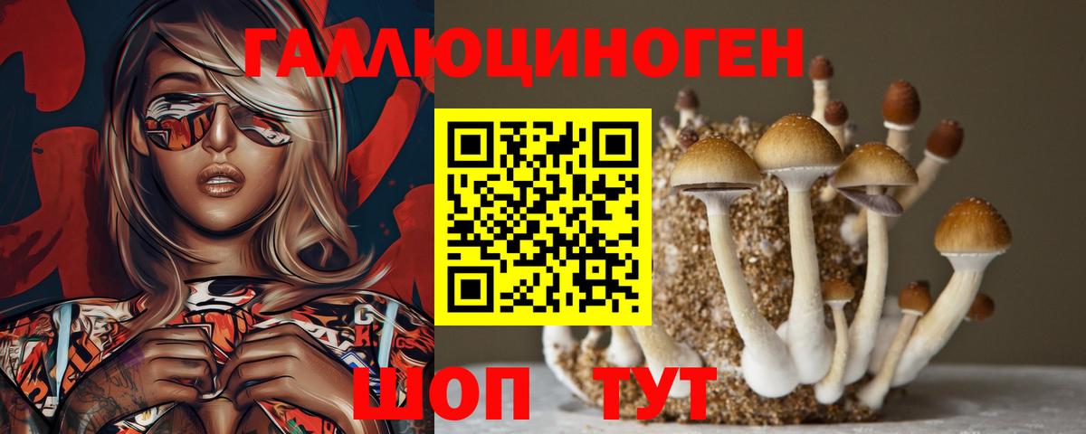Галлюциногенные грибы Psilocybe Балашов